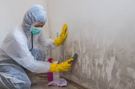 Best Mold Removal for HVAC Installations in Weissport East, PA